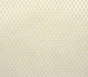 Обои BN International SHADOWS ON THE WALL (45601) виниловые на флизе 